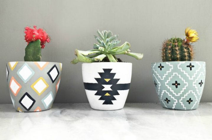 painted cacti pots