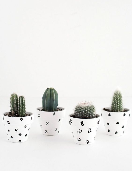 patterned pots