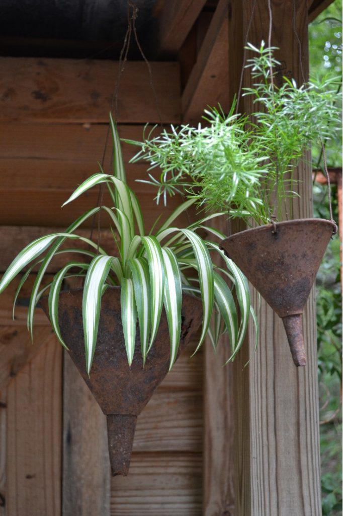 rusted metal planters