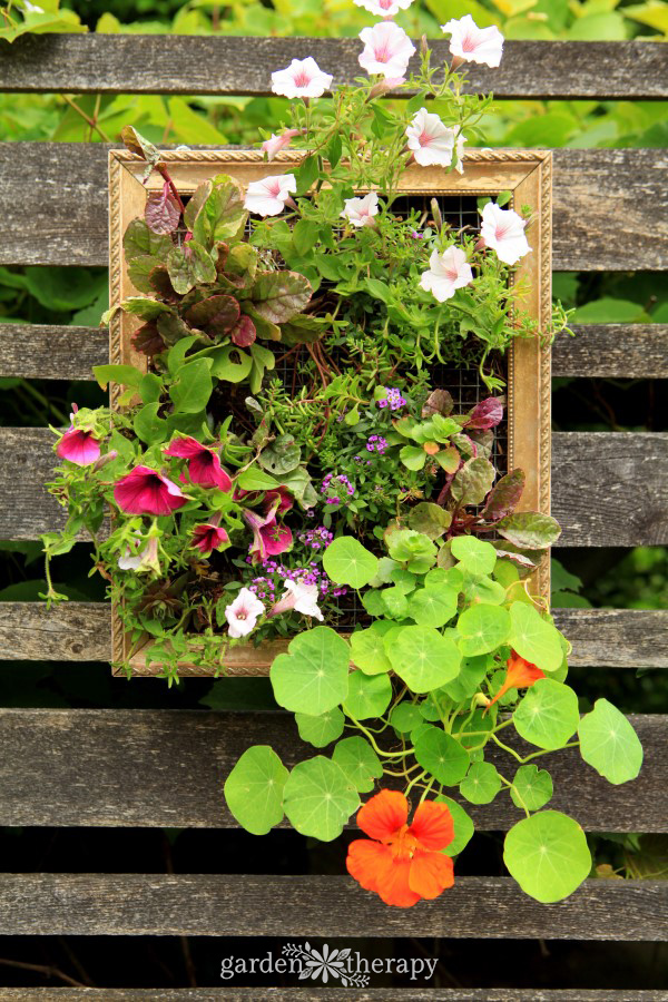 colorful-vertical-planters-with-annuals-living-artwork