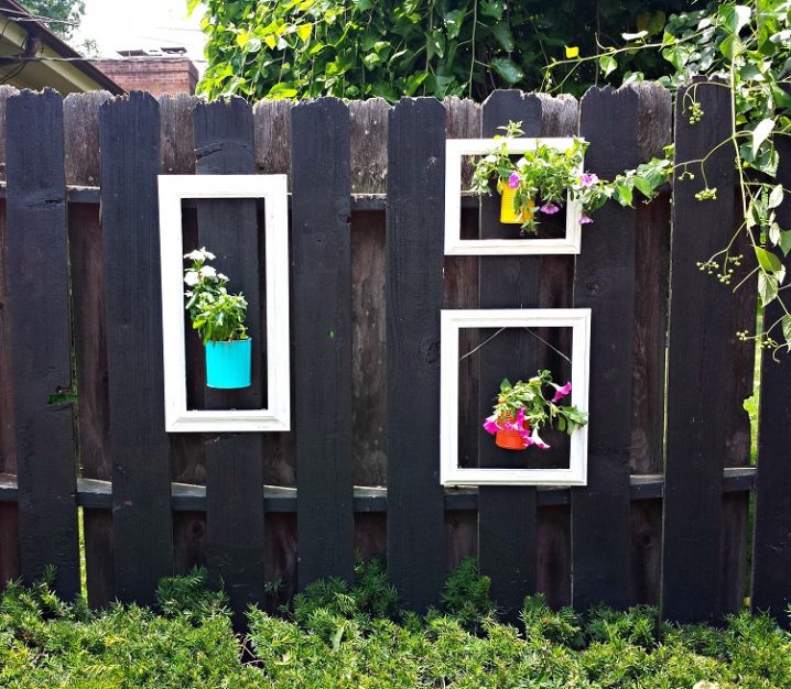 framed-flowers-on-backyard-fence