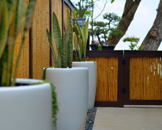 asian-stle-landscape-bamboo-fence-panels-concrete-flooring