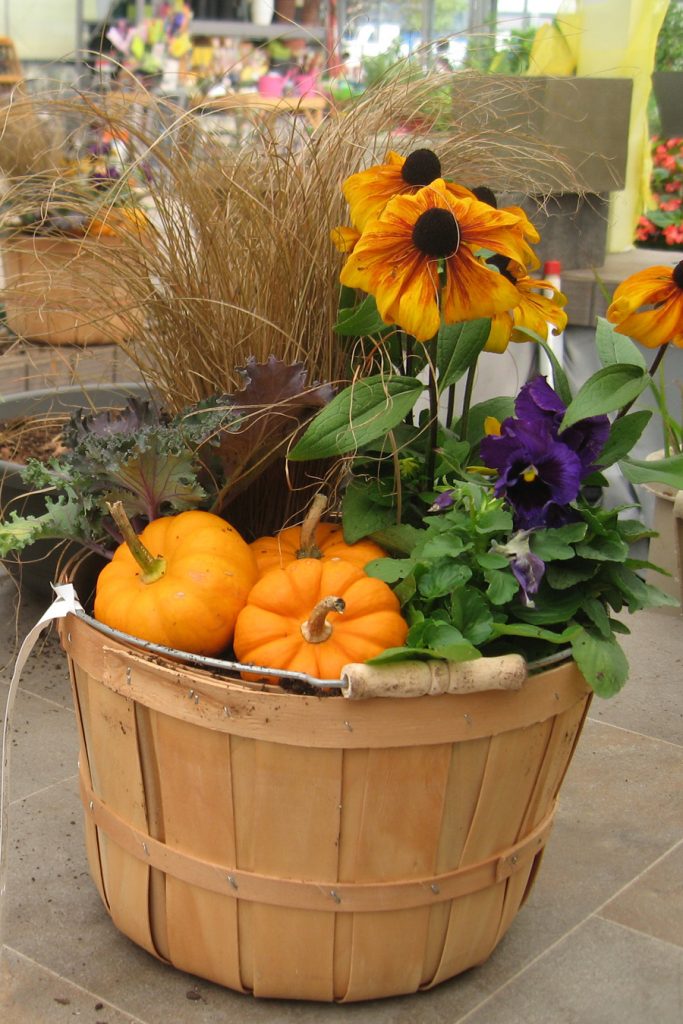 fall_container_4