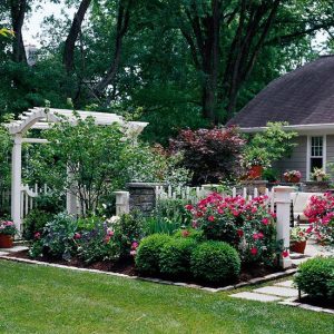 Beautiful Backyard Shrub Decorations That Will Amaze You - Top Dreamer