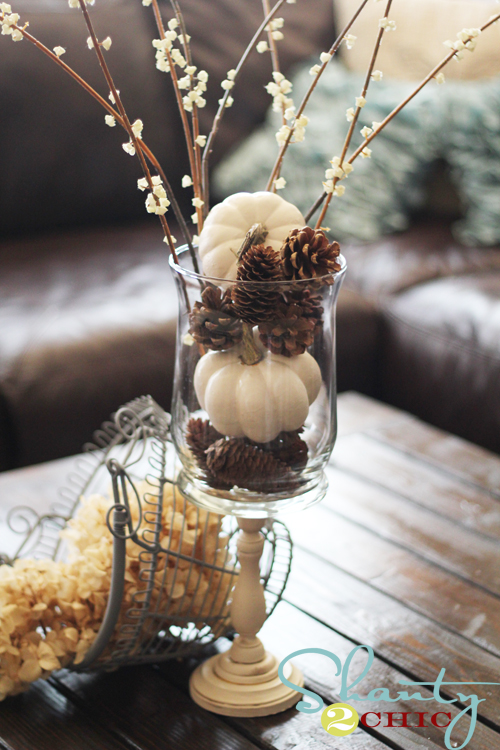 white-pumpkis-and-pine-cones