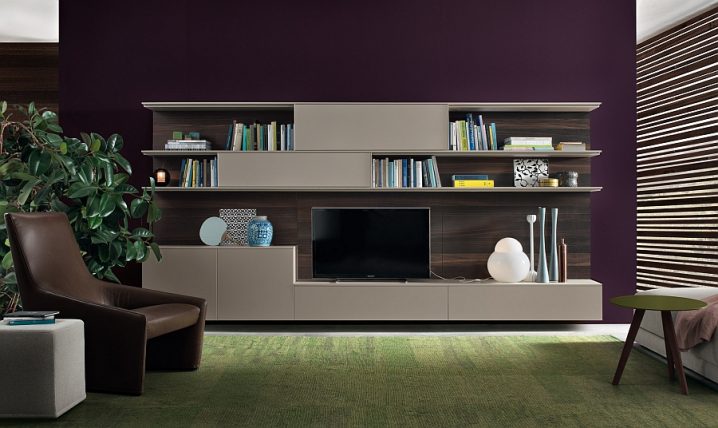 contemporary-wall-unit-system-with-space-for-tv-bookshelves-and-storage