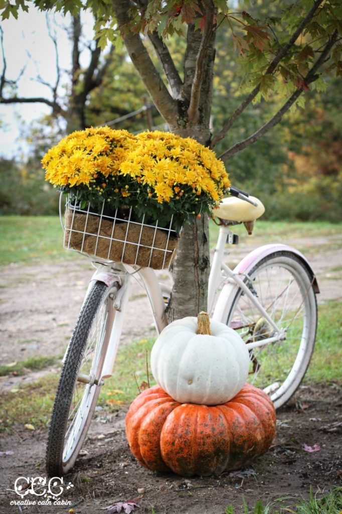 fall-mum-bike-basket