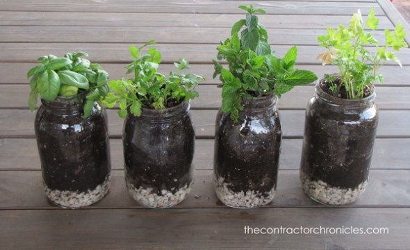 how-to-plant-herbs-in-mason-jars-46-copy_thumb