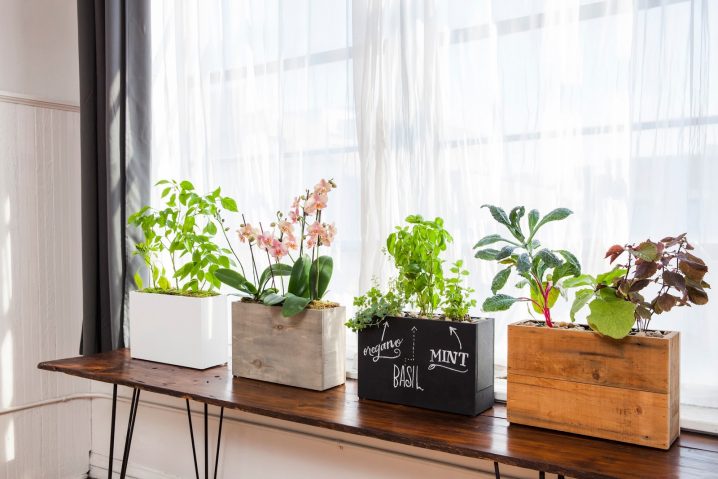 modern-window-sill-planter