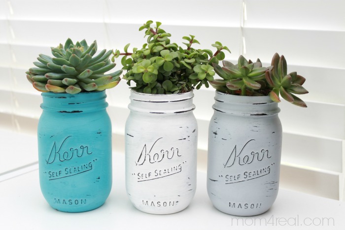 painted-mason-jars-with-succulents1