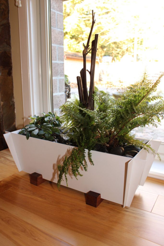 box-planter