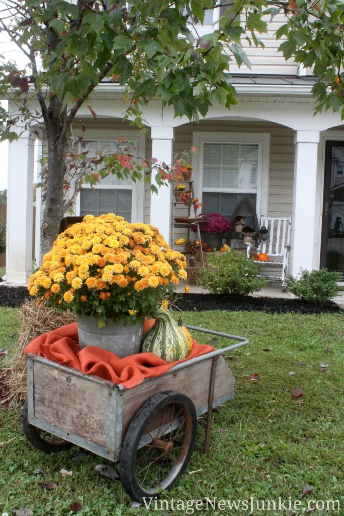 how-to-decorate-your-front-yard-with-pumpkins