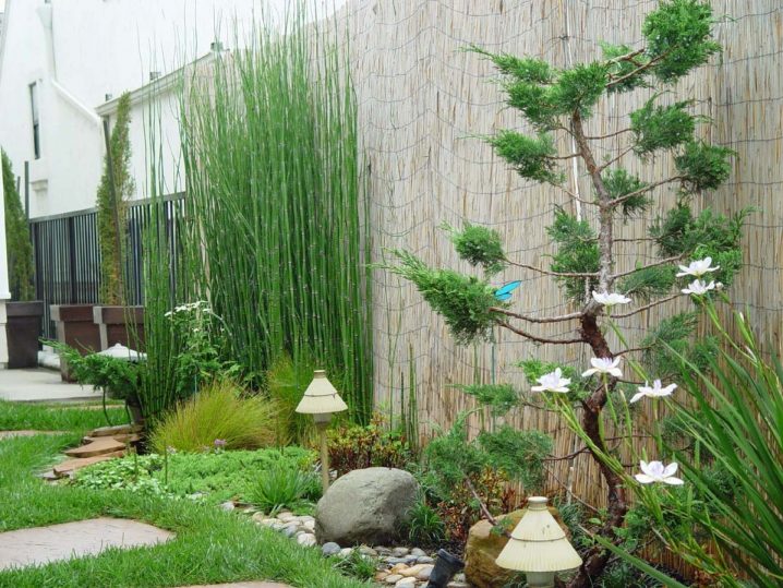 exciting-beautiful-garden-ideas-and-easy-to-maintain-garden-ideas