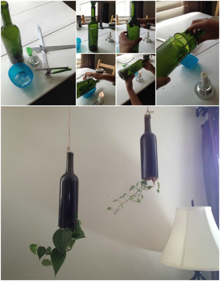 bottle-planters