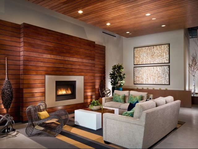 contemporary-living-room-with-accent-wall-i_g