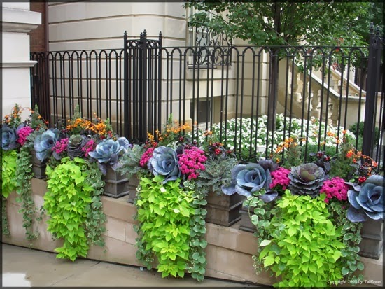 planters-for-winter