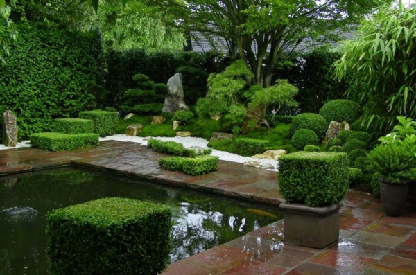 zen-garden-create-japanese-evergreen-plants-pond