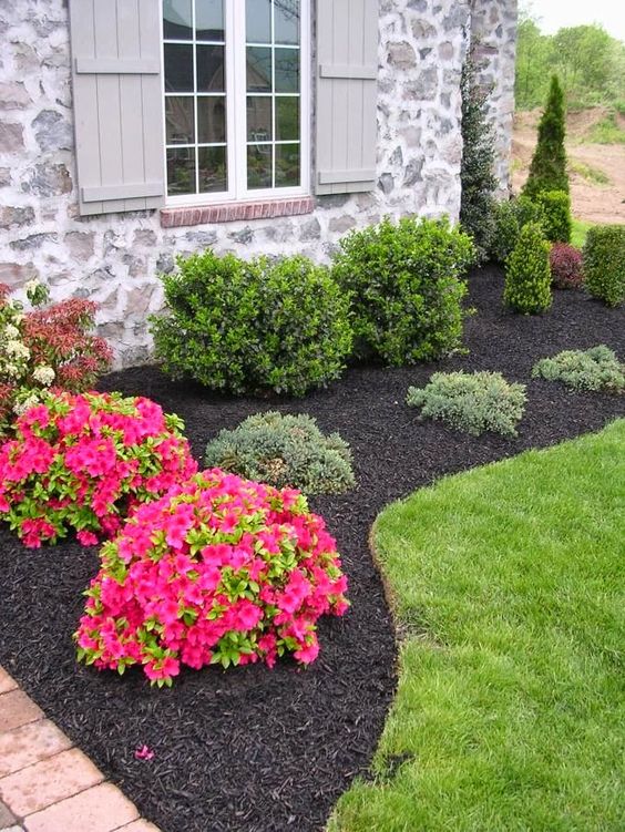  plants for landscaping around house