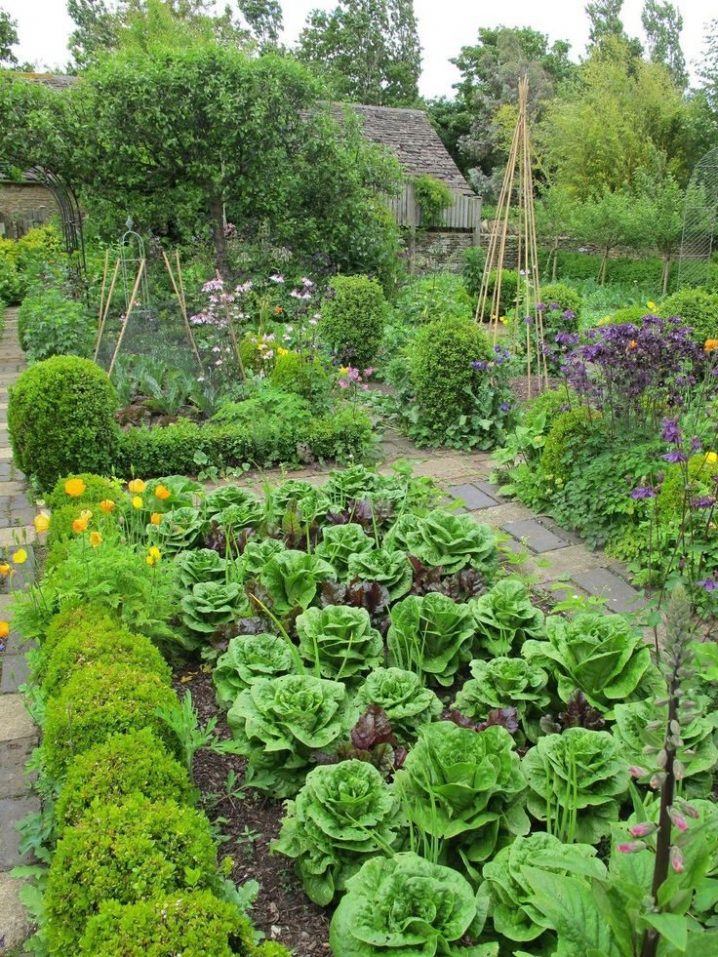 edible garden 