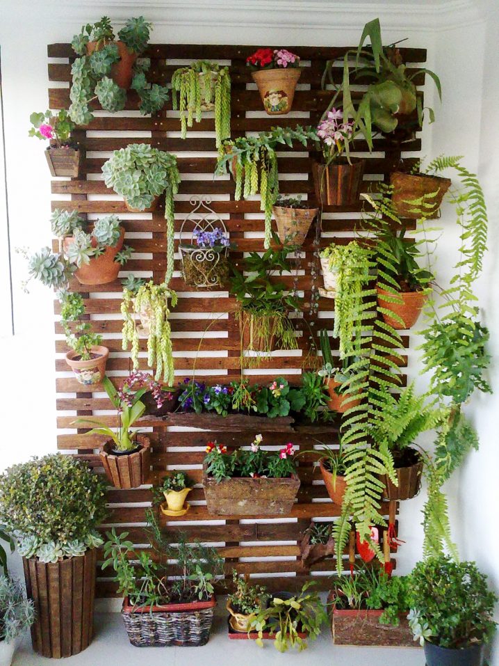 wall planters 